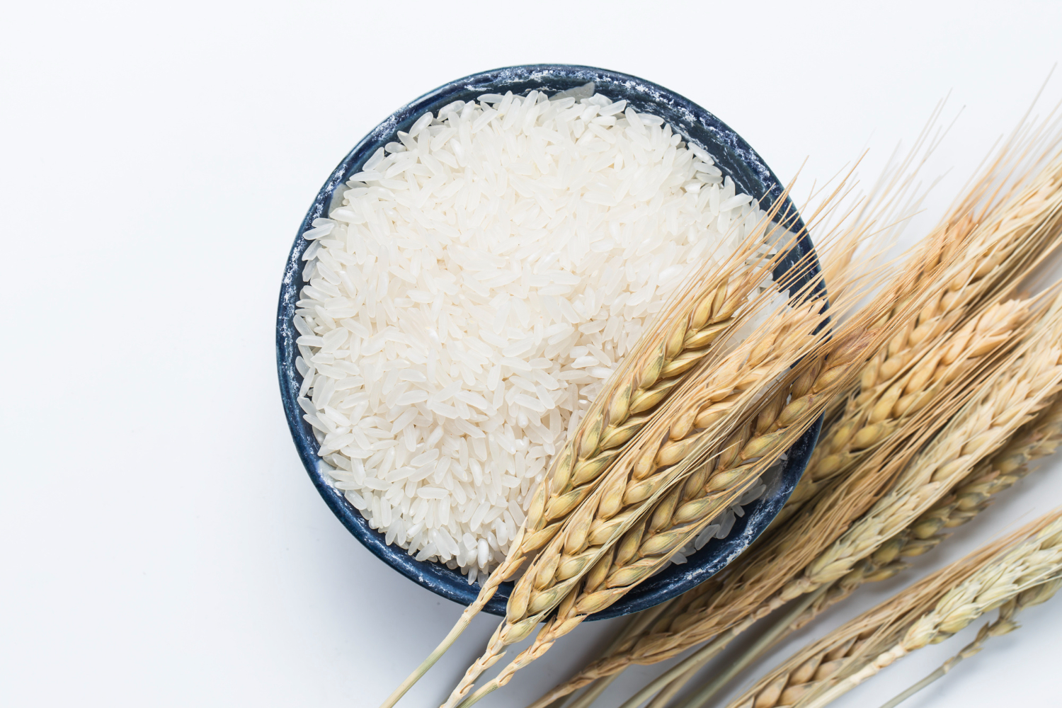 Rice products