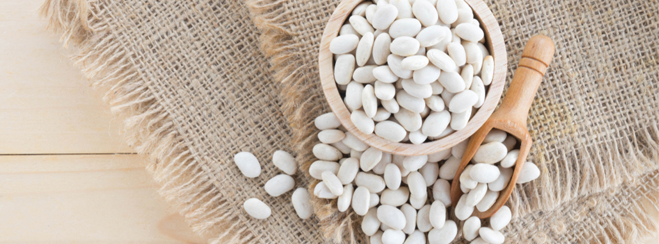 Egyptian White Beans(Fasolia)