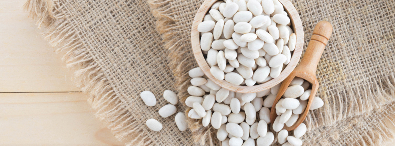 Haboba  White Beans(Fasolia) 500 gm